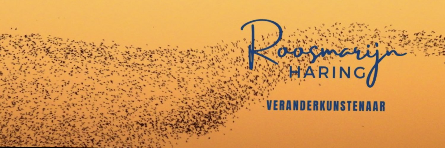RoHaring's profile banner image