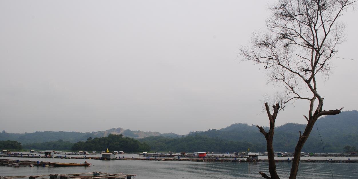 biyabiyul's profile banner image