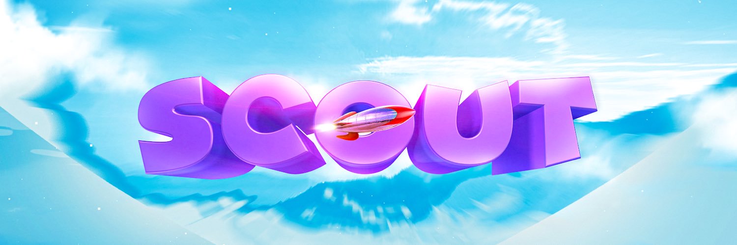 Scout banner