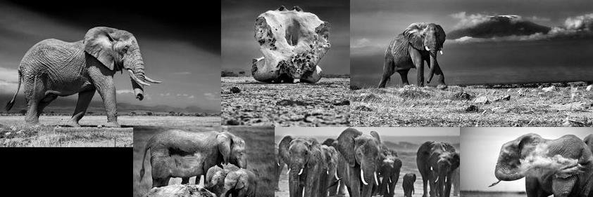 mwezin's profile banner image