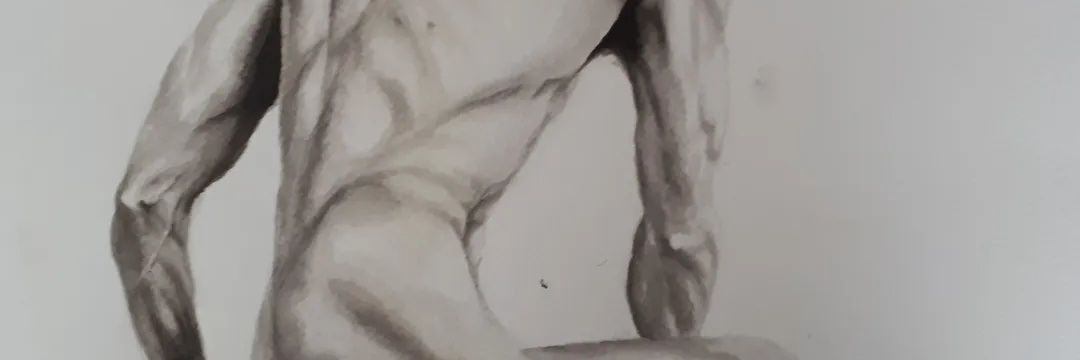 Pata de ganso banner