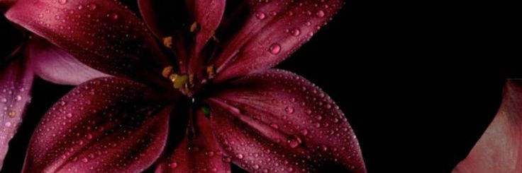 la_athy1234's profile banner image