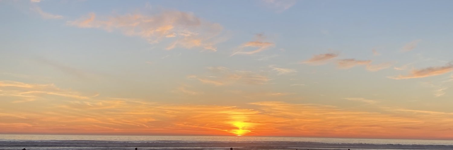 swaggernelssy's profile banner image