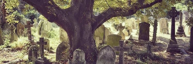 LyndseyPrott's profile banner image