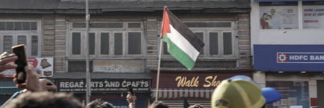 🇵🇸 banner