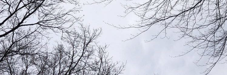 KaylaBerezne's profile banner image