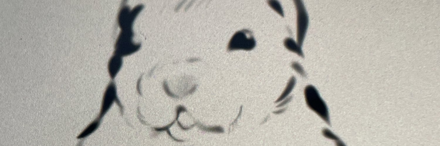 _aeraxen's profile banner image