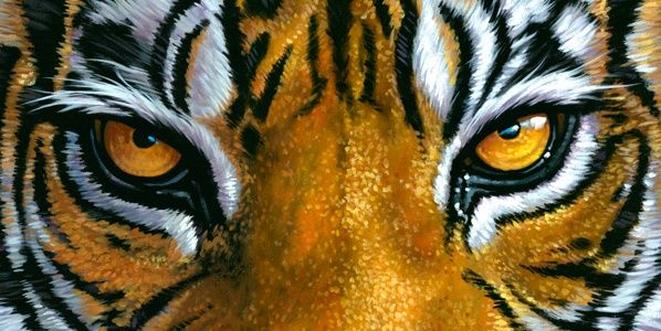 dashezz's profile banner image