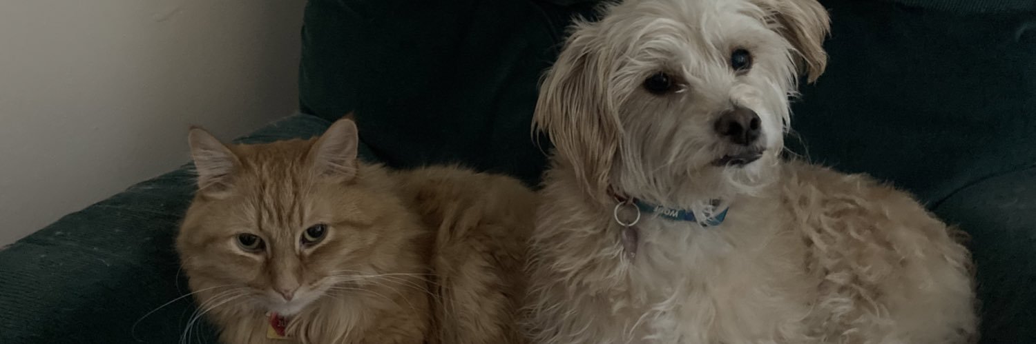 Newtguinea 🇵🇸 🇷🇺 banner