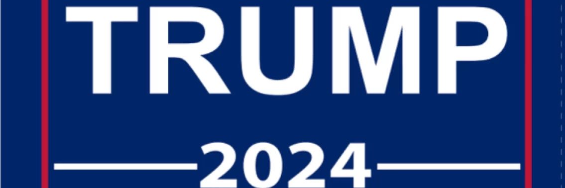 Liberal Lunatics banner