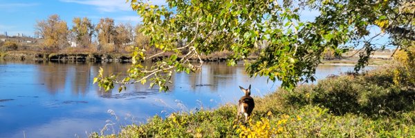 RiverbendYYC Profile Banner