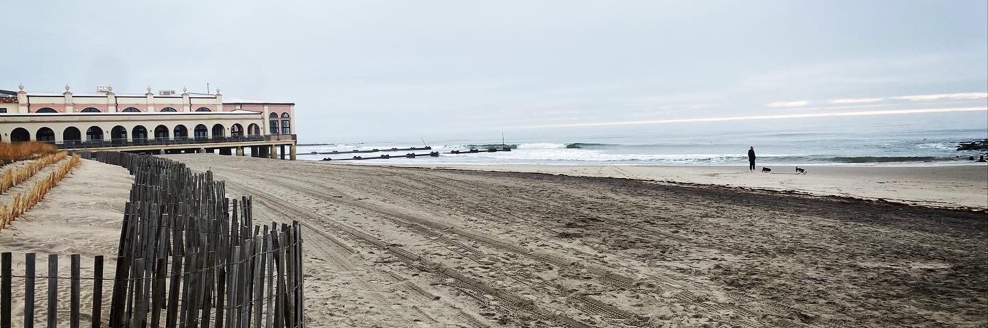 Julie Goddard banner