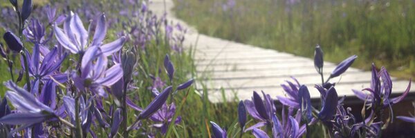 ambernayers Profile Banner
