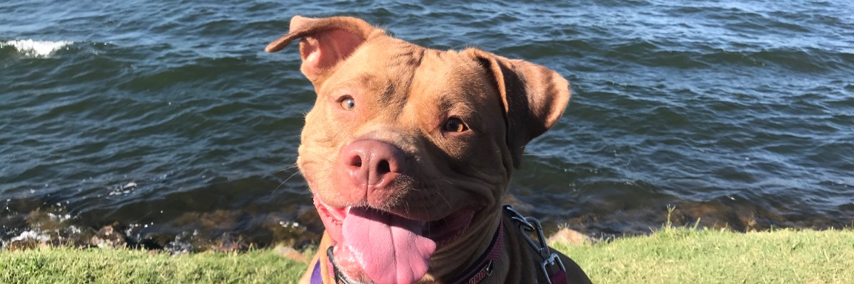 bre_miche's profile banner image