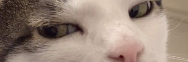 monkeycatluna Profile Banner