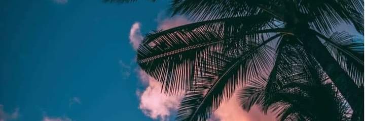 𓂀𝔻𝕆𝕋𝕌ℕ ℂℝ𝕐ℙ𝕋𓂀 banner