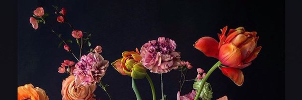 DobbsJane Profile Banner