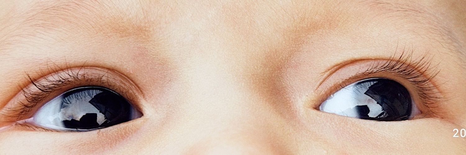 ☂️🎡🎠 banner