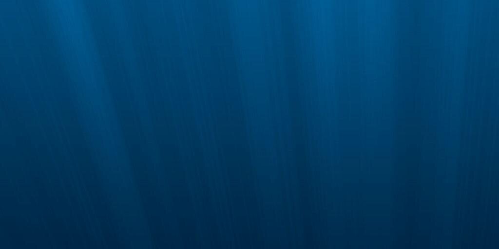 Stephen Fowles banner