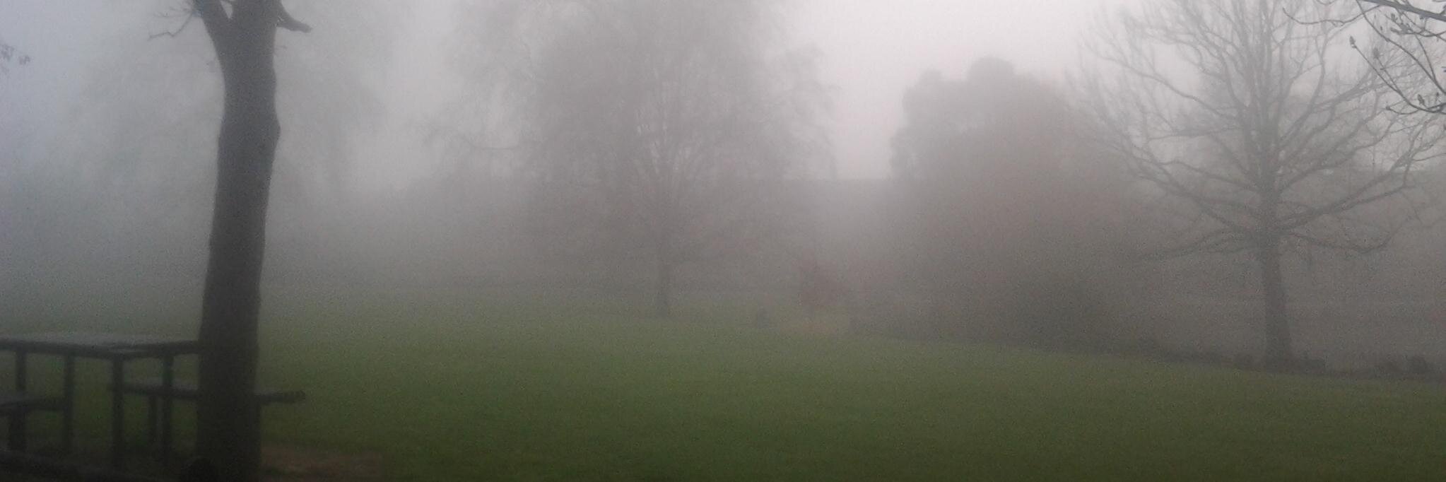 Erminia A. Yardley 🌺 banner