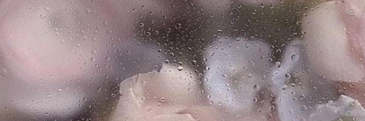2a2a2qh_'s profile banner image