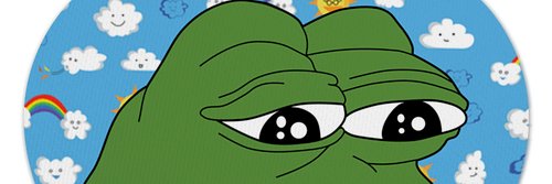 punkpate's profile banner image