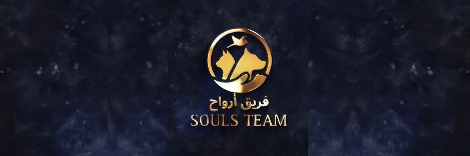 فريق أرواح banner