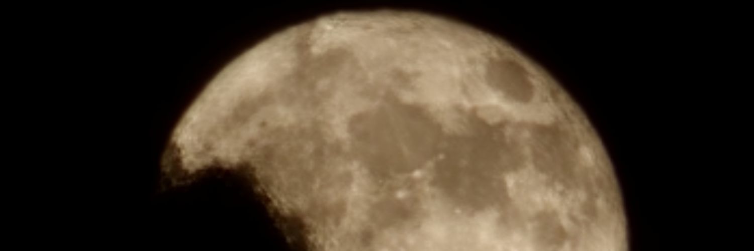 Wade_DG's banner