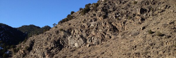hert Profile Banner
