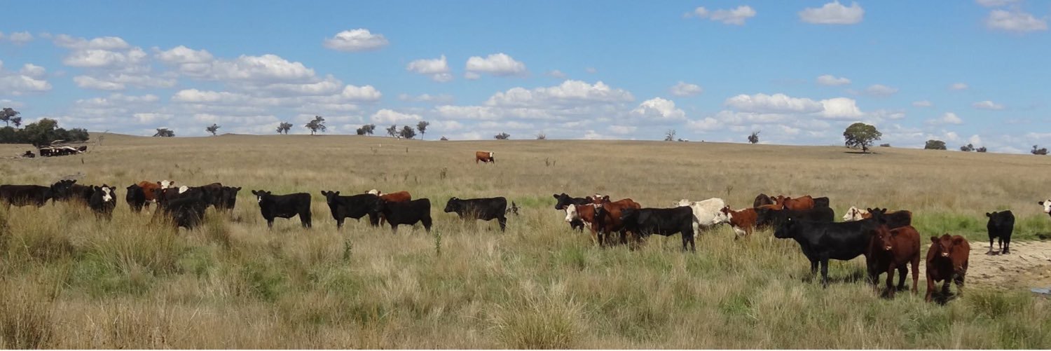 Sam Livingstone banner