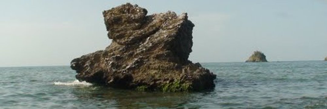 Concepcion Tang banner