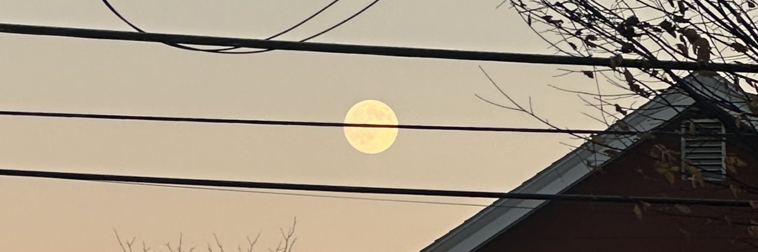 bibi˚୨୧⋆｡˚ ⋆ banner