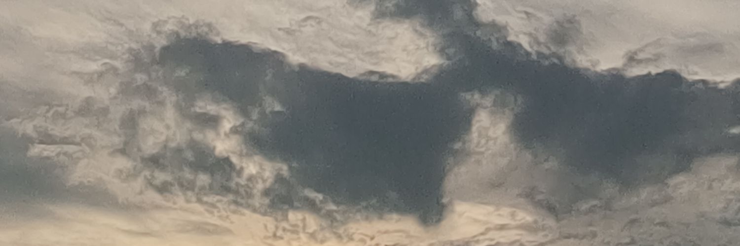 Taraha45's profile banner image