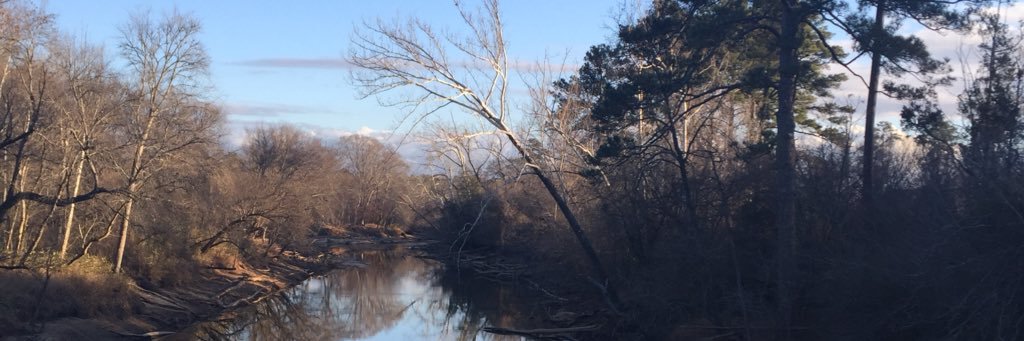 emilydenison's profile banner image