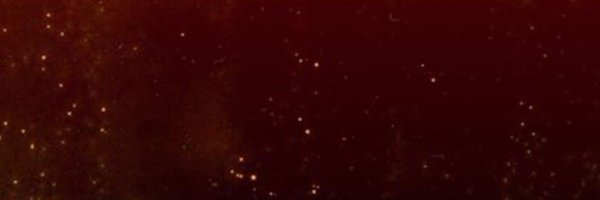 AkuLISIANTHUS Profile Banner