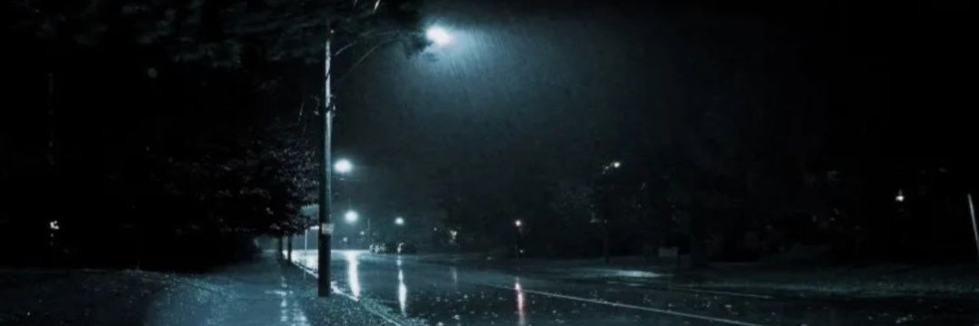 Crypto🤑Ray🇳🇱 banner