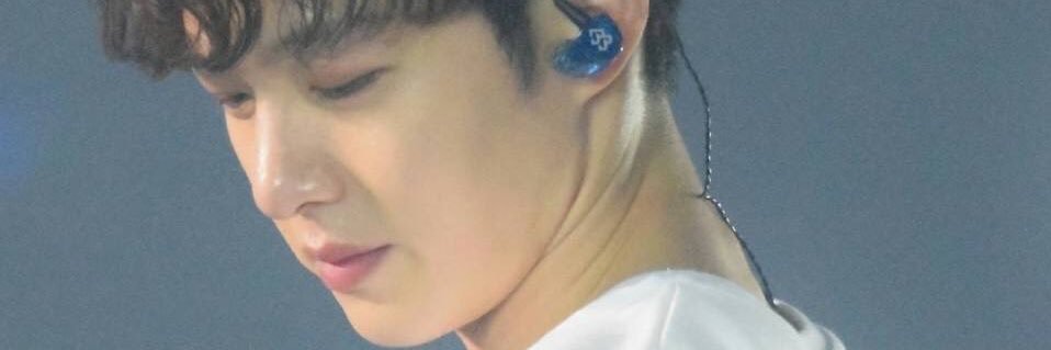 JW🐈 CS🍑 NN🐱ZP🐶 banner