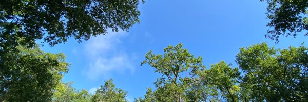 AstreaGoGreen Profile Banner