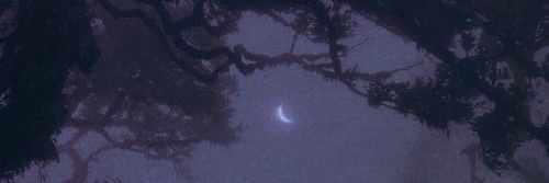 Magikaly's profile banner image