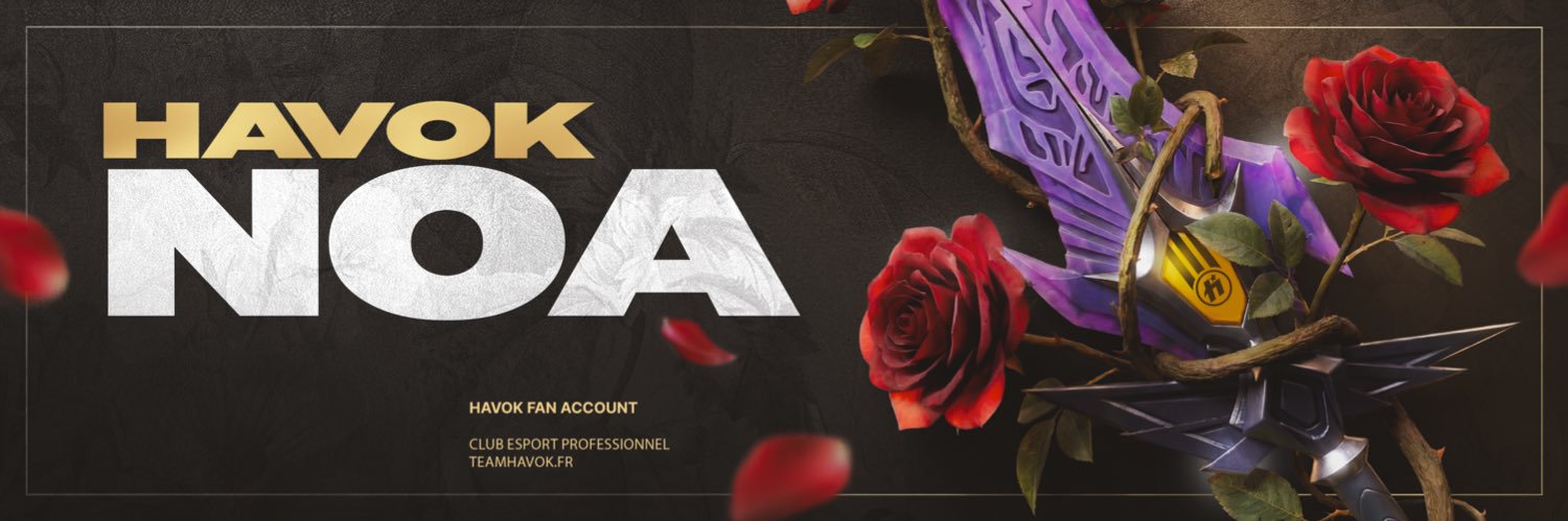 ★HvK_Noa★🐝 banner
