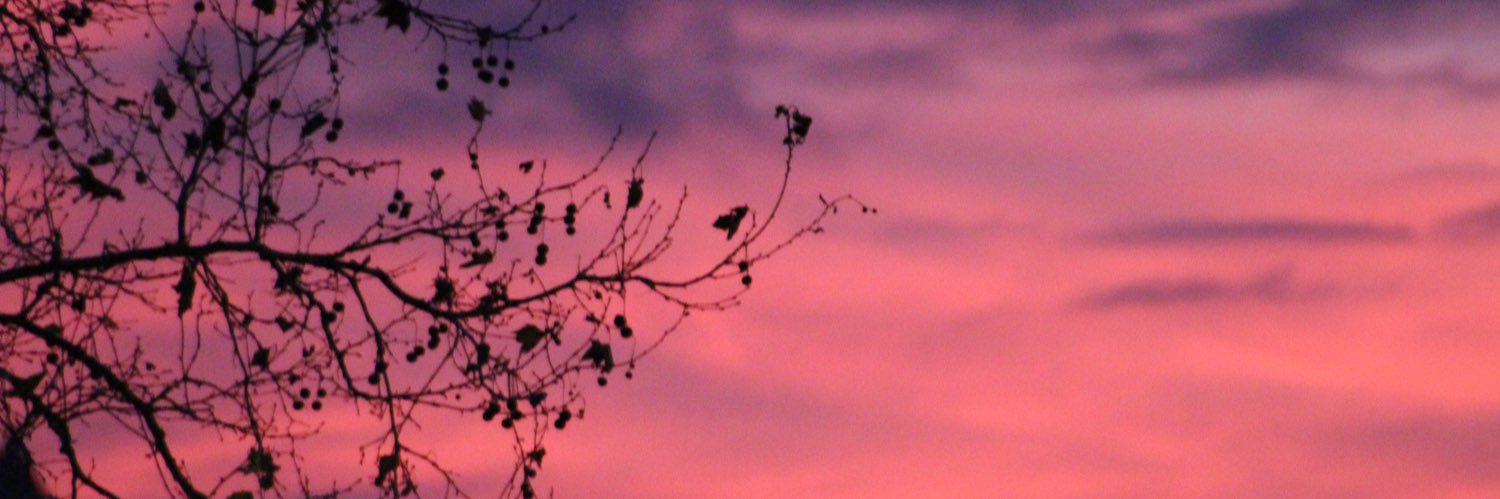palomapereraa's profile banner image