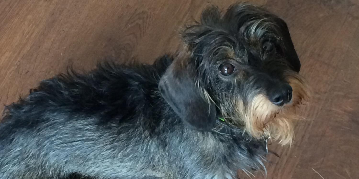 Bettina Böttinger banner