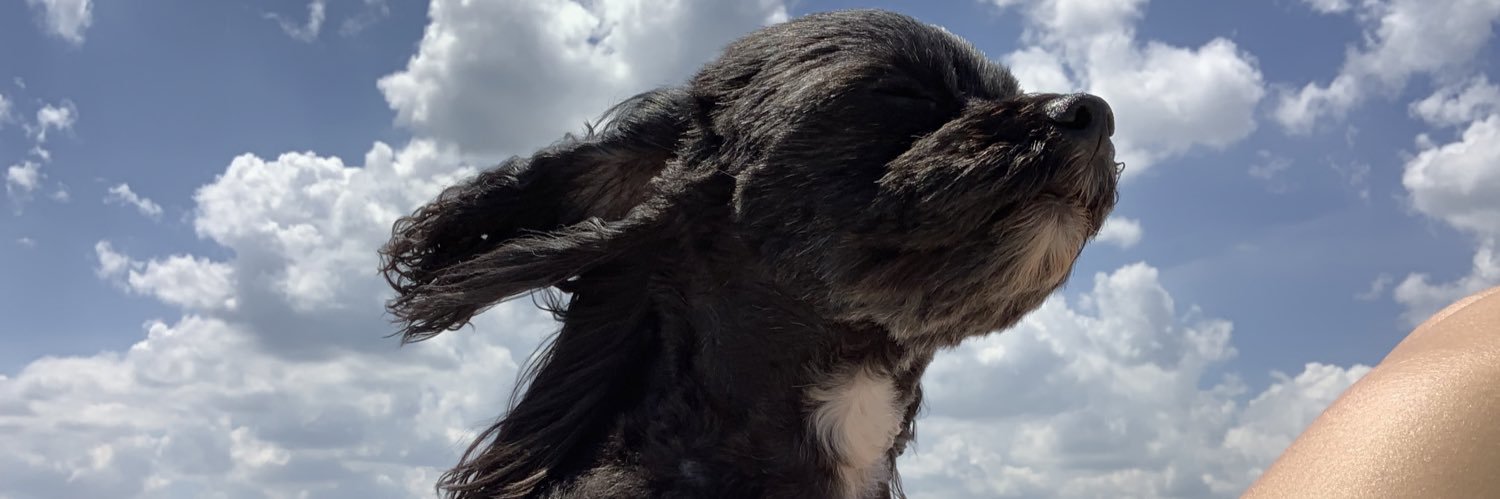 nwieker's profile banner image