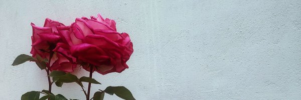 DocInDilemma Profile Banner