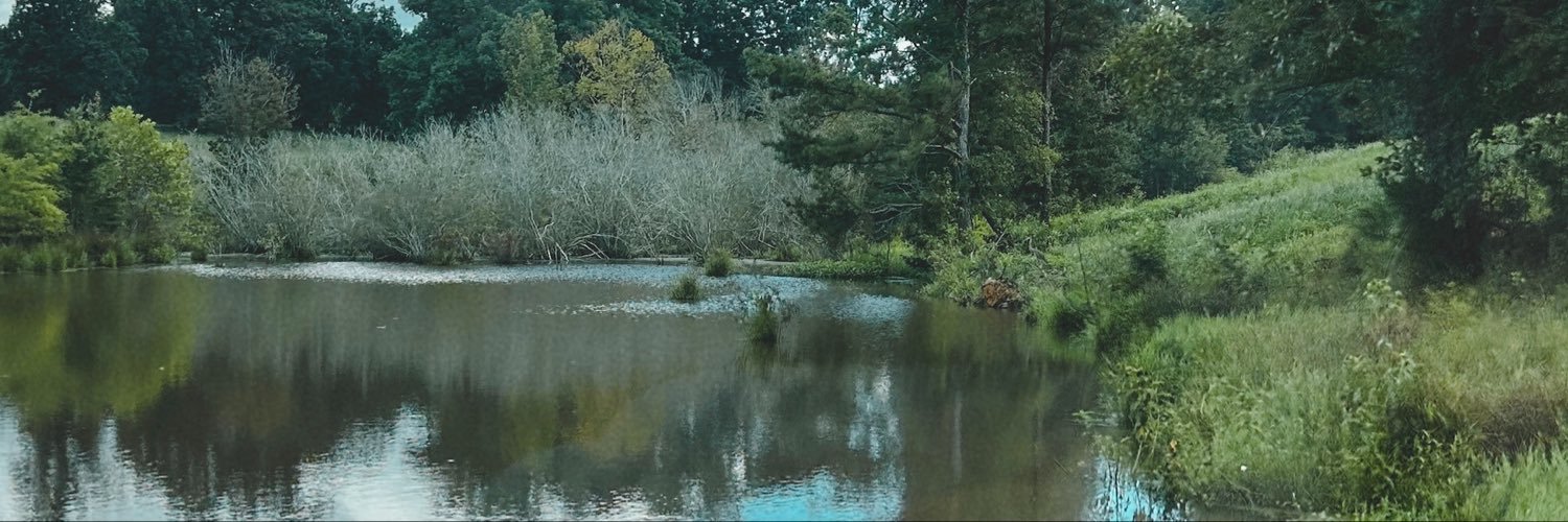 divamonroe32's profile banner image