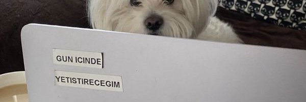 asuus09 Profile Banner