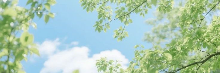 ˚₊‧꒰აMuh .ᐟ banner