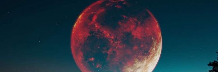 berko383's profile banner image