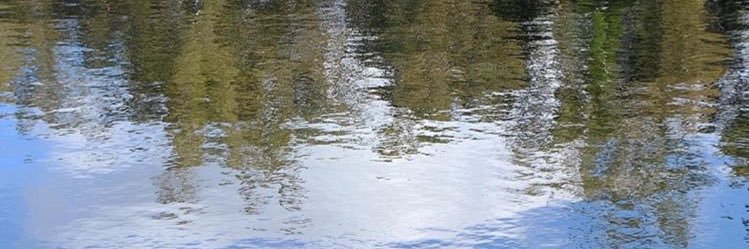 skcmalin's profile banner image