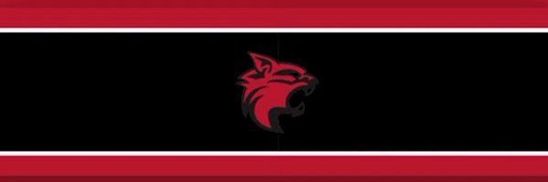 LakeViewFb Profile Banner